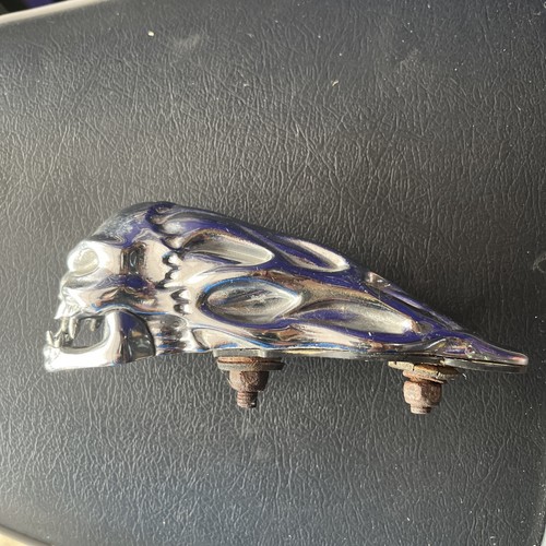 Skull for fenders - for, or