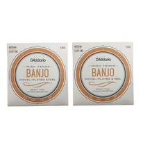 D'Addario Irish Tenor Banjo