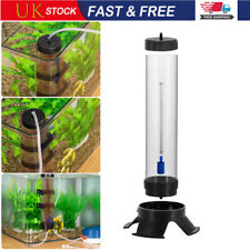 Brine Shrimp Hatchery Fish