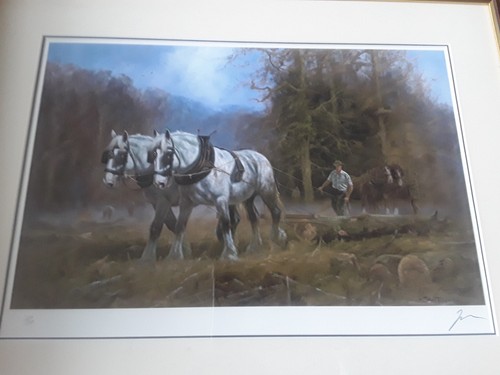 John trickett limited edition - john,