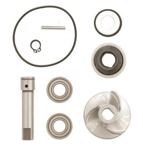 Water pump kit - pump, formula