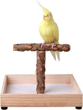 Bird Stand Tabletop,Portable