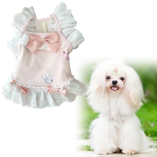 Dog birthday dress - birthday,