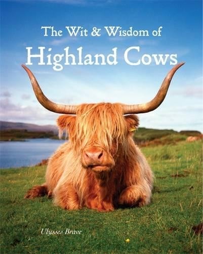 Wit wisdom highland cows - of,
