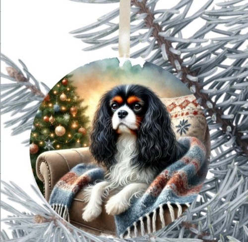 King charles cavalier spaniel - king,