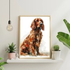 Red Setter A4 Print 