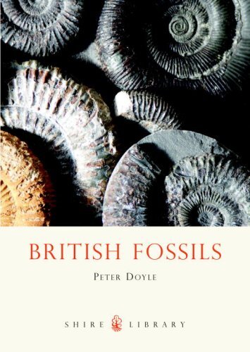 British fossils shire - british, (shire