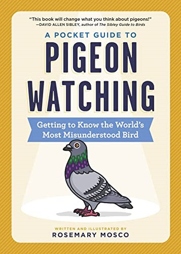 Pocket guide pigeon - pocket,