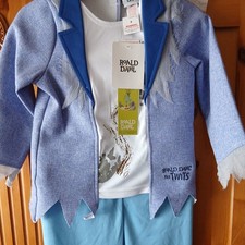 Ronald Dahl Mr Twits Bookweek Storybook Bookweek Fancydress Halloween Costume sm