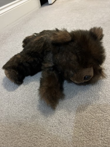 Brown teddy bear from the - brown,