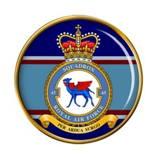 45 Squadron, RAF Pin Badge