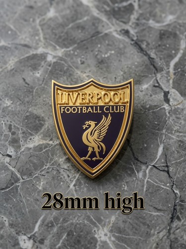 Liverpool pin badge - fc,