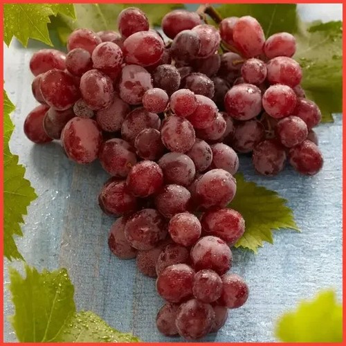 Suffolk red seedless grape - suffolk,