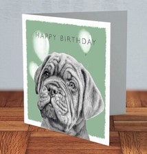 Dogue de Bordeaux dog puppy