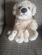 LIVING NATURE GOLDEN RETRIEVER