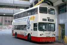 Bus Photo - MTL Merseybus 1952