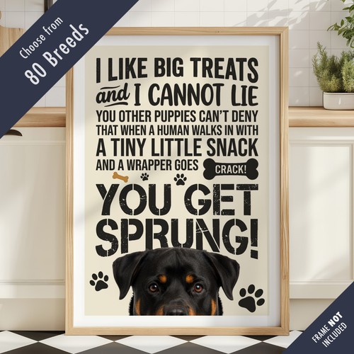Funny dog treats lyric quote - dog,