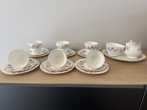 Duchess bramble rose bone - duchess,