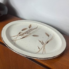 Midwinter Stonehenge Wild Oats