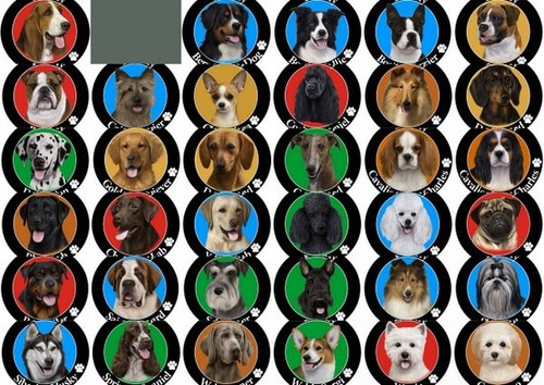 Dog car magnet round various - car,