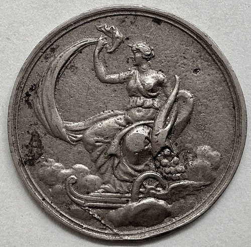 Silver fortuna - silver,