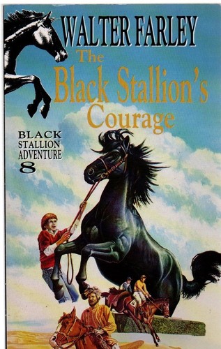The black stallion - black, stallion's