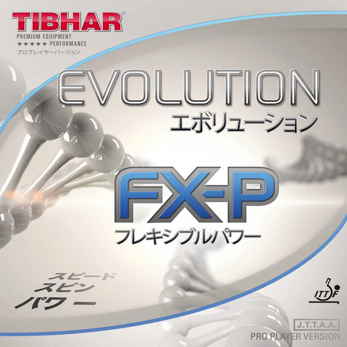 Tibhar evolution p - evolution, fx-p
