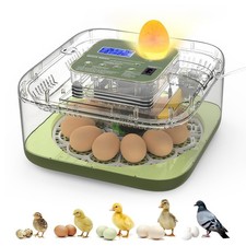 Incubators for Hatching Eggs