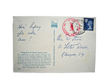 Postcard. ST KILDA. Puffin