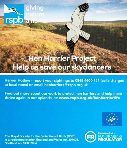 Rspb pin badge special - badge,