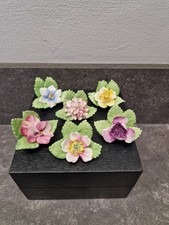 Royal Adderley Vintage Floral