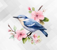 Spring Blue Jay Bird  Wall