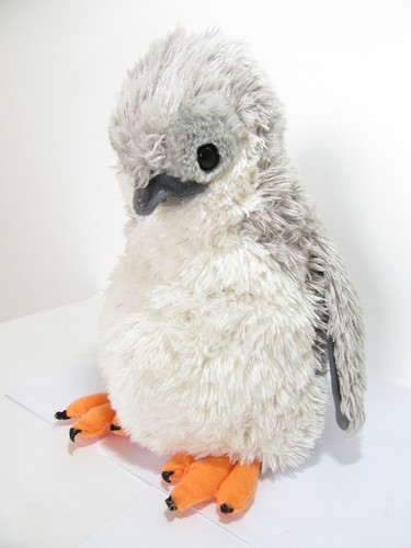 Washed wild republic penguin - wild,