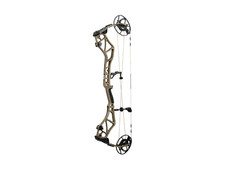 Bear archery execute - execute, 32