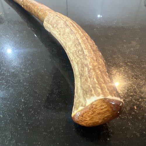 Reindeer antler long walking - antler,