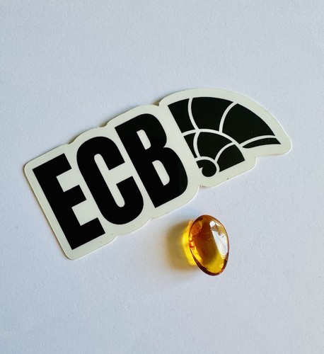 Baltic amber with mosquito - baltic,