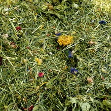 *Tortoise Edible Bedding Food Readi Grass Flower & Plant Botanical Herbs Leaves 