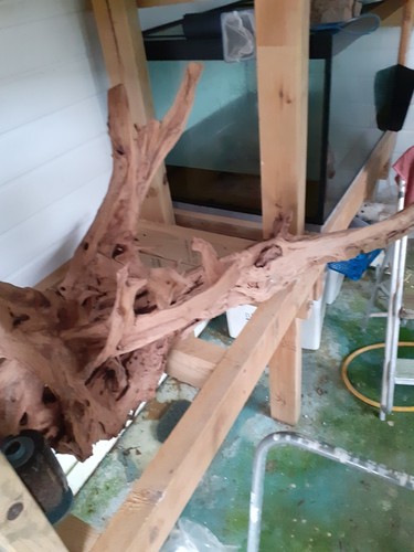 Extra large bogwood for fish - bogwood,