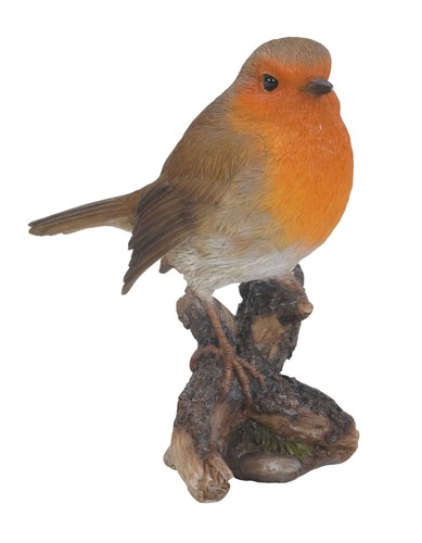Robin bird lifelike garden - bird,
