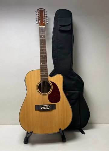 String electro acoustic - string,