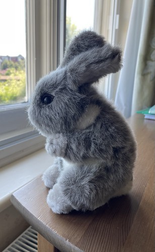 Nicholass soft toy grey and - ds,