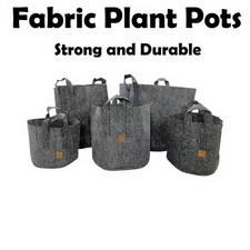 Fabric pot grow - fabric, plant