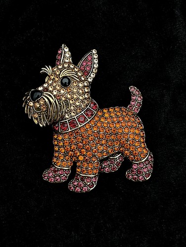Scottish terrier scottie dog - scottish,