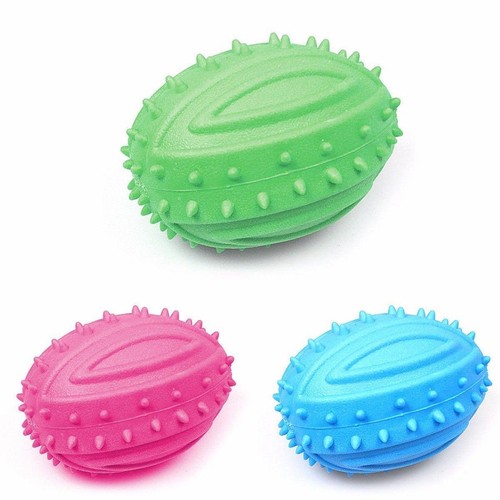 Pack pet dog - pack,