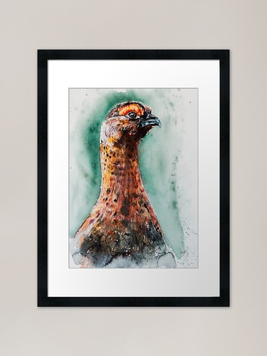 Red grouse framed art - red, print