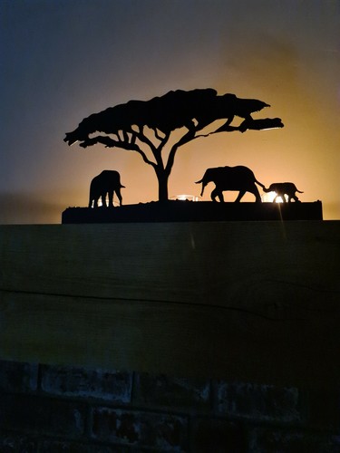 Elephant safari candle tea - 🐘elephant,