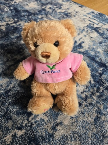 Center parcs teddy bear with - center,