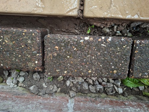 Dark red brindle rectangular - red/brindle,