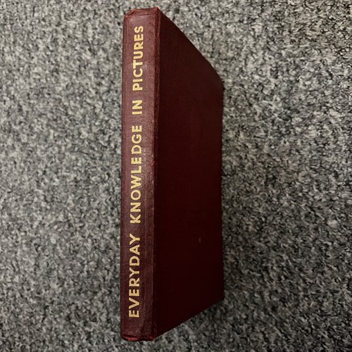 Everyday knowledge pictures - knowledge, in