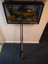 Silstar X-Citer Canal